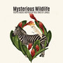 Mysterious Wildlife: Respite Music Inspired by Real Tones of Jungle