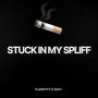 Stuck in my spliff (feat. Zkay) [Explicit]