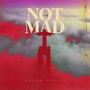 Not Mad (feat. John Katina)