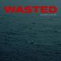 Freestyle WASTED (Explicit)