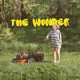 The Wonder