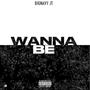 Wanna Be (Explicit)