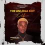 THE ANLOGA BOY ALBUM