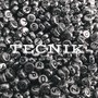 Tecnik