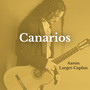 Suite Española: Canarios (Arr. for Guitar by Narciso Yepes)