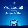 Wonderful! (feat. Seany Le'Rue)