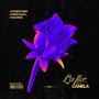 La Flor De La Canela (Extended Mix)