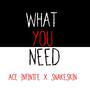 What You Need (feat. snakeskin) [Explicit]