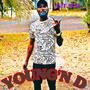 Its Krazy (feat. Pedagree) [Explicit]