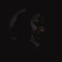 From Me 2 You (Explicit)