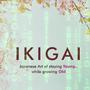 IKIGAI (Explicit)