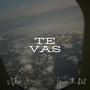 TE VAS (feat. Guaro The Best)