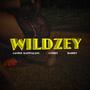 Wildzey (feat. Cerry & Darry) [Explicit]