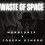 Waste of Space (Explicit)