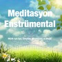 Meditasyon Enstrümental: Müzik için Spa, Gevşeme, Meditasyon ve Masaj