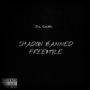 Shadow Banned (Freestyle) (feat. StuntHard Hill, Lil Hill, Lew Piff & StuntHard Buda) [Explicit]