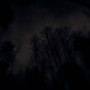 Reborn (Explicit)