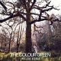 The Colour Green