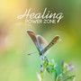 Healing Power Zone: Top 50 Music for Meditation, Yoga, Relaxation & Spa, Nature Zen Sounds to Reduce Stress, Music Therapy