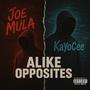 Alike Opposites (Explicit)