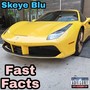 Fast Facts (Explicit)