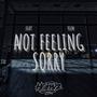 Not Feeling Sorry (feat. Ylem) [Explicit]