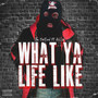 What Ya Life Like (Explicit)