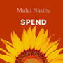 Spend