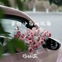 有种分离叫做痛