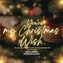 You're My Christmas Wish (feat. Infinite Echoo)