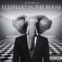 Elephant In The Room (Explicit)