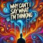 Why Can't I Say What I'm Thinking (Explicit)