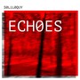 Echoes
