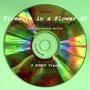 Firework in a Flower (20th Anniversary Edition)