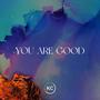 You Are Good (feat. Triish) [Radio Edit]