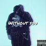 Without You