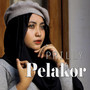 Pelakor (Explicit)