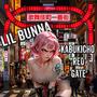 Kabukicho Red Gate (Explicit)