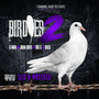 Birdies 2 Slid & Wrecked (Explicit)