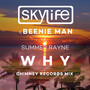 Why (Chimney Records Mix)