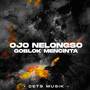 Dj Ojo Nelongso Goblok Mencinta