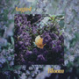 Bloom (Explicit)