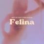 Felina (feat. Chris Kodde)