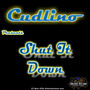 Shut It Down - Single (Explicit)