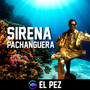Sirena Pachanguera