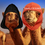 Camels in Robes