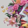 the songs i sing