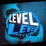 Level (Solo Leveling)