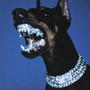 Off 24/7 **** Life (Explicit)