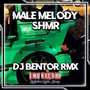 MALE MELODY KSHMR (Bass Bentor Style)